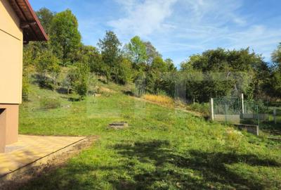 Casă cu 5 camere cu Teren 3000 Mp în Runcu - 3