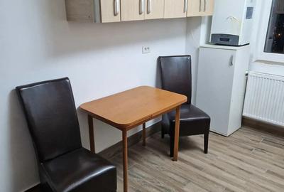 Apartament ultracentral TG JIU de inchiriat - 3