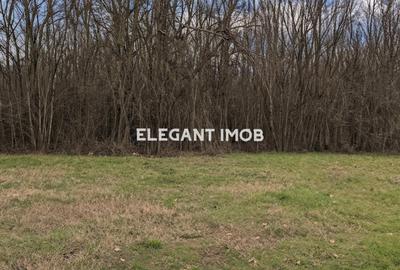 Teren intravilan de 758 mp, în Corbeanca