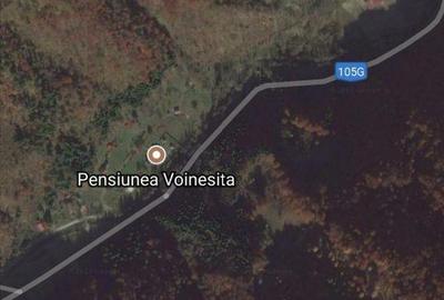 Teren de 11561 mp, în Voineasa - 4