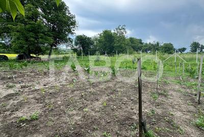 Casa individuala Comision 0% 3 camere anexe teren 800 mp Rusi Sibiu - 10