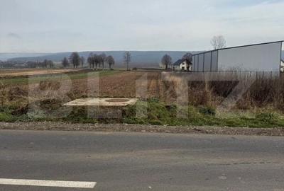 Teren de 1600 mp, în Pătrăuți