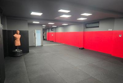 Spațiu Premium de Antrenament - 1