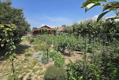 Casă cu Teren 925 Mp în Central - 5