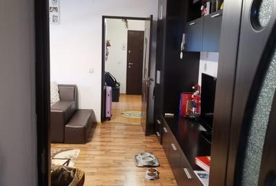 Apartament cu 2 camere semidecomandat, mobilat în Rovine - 4