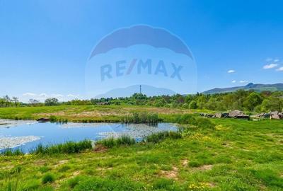 Casă individuală cu 4 camere cu Teren 10130 Mp în Mara - 2