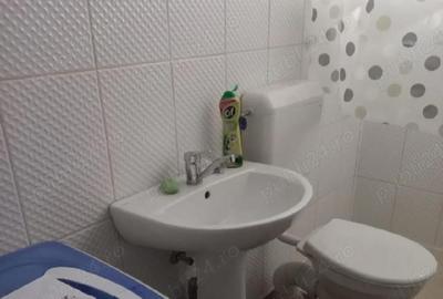 Casă cu 3 camere cu Teren 5013 Mp în Dogari - 2