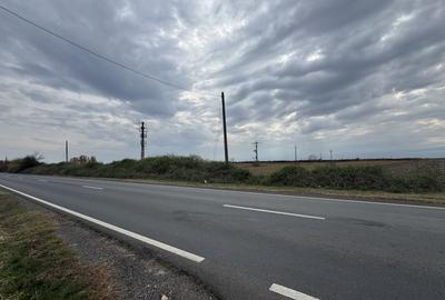 Teren agricol extravilan de 25000 mp, în Biled - 1