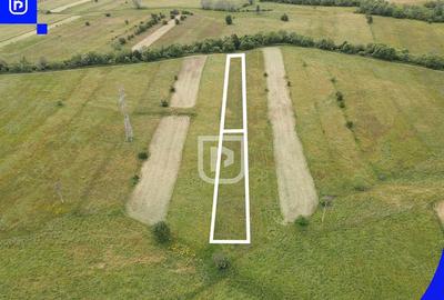 Teren Vorone? | Gura Humorului | Suceava - Bucovina - 28... - 3