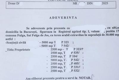 Spațiu comercial, în Fulga - 4