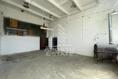 Hala depozitare sau productie, 470 mp, Zona Buziasului - 3