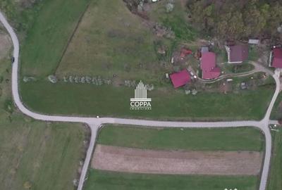 Teren de 5257 mp, în Curtuiușu Mic - 1