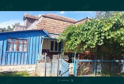 Casă cu Teren 12500 Mp în Valea - 2