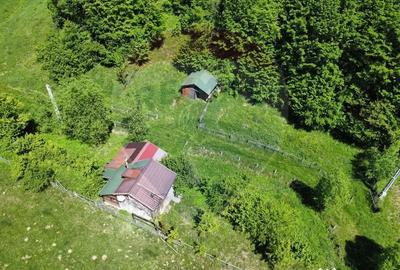 Casă cu 3 camere cu Teren 1614 Mp în Sita Buzăului - 11