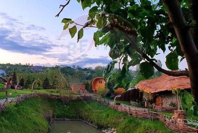 Hotel / Pensiune de vanzare Piatra Neamt - 6