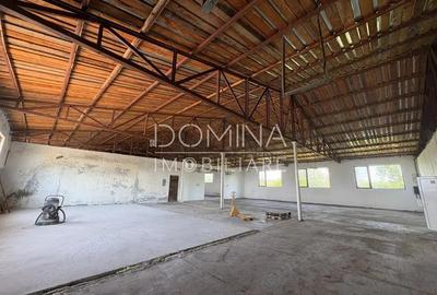 Vanzare complex industrial *hala 682 mp + teren 2,5 ha* - Tetila - 8