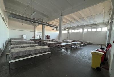 Complex industrial 30130 mp construit - Teren 42558 mp - 7