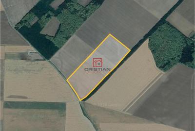 Teren de 315000 mp, în Central
