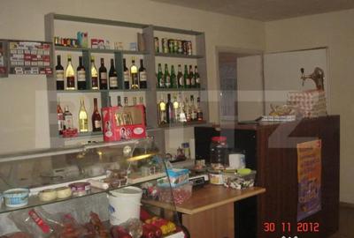 Casă cu 2 camere cu Teren 5600 Mp în Central - 10