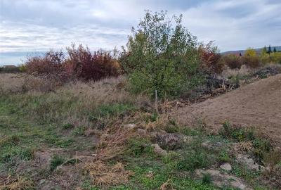 Teren intravilan de vanzare Teren intravilan de vanzare - 2