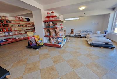Inchiriere spatiu comercial, in Dragoeni - 5