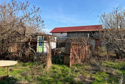 Crevedia - sat Samurcasi, str.Ernest Maftei, teren intravilan 5958 mp - 3