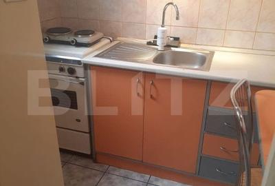Garsonieră decomandată în Tudor - 2