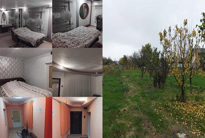 Vilă Cu Teren 3.617 Mp, Dublă Deschidere Locuință + Investiție Com. Jilava - 3