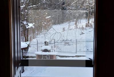 OCAZIE I COMISION 0% I Vila Busteni Poiana Tapului I Liziera padurii - 10