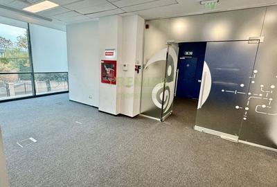 SPATIU DE BIROURI | 636 MP | DISPONIBIL IMEDIAT | SPATIU DE BIROURI | 636 MP | DISPONIBIL IMEDIAT | - 13