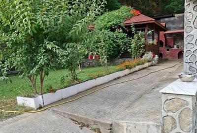 Vand Casa in Pausa Calimanesti - 3