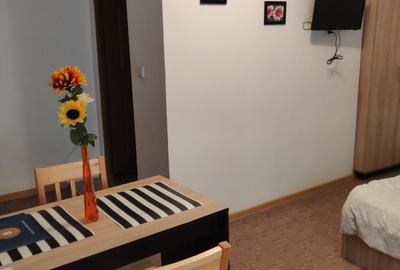 Vand casa tip Vila cu 16 cam. - 10