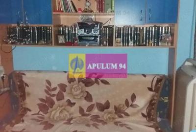 Apartament cu 4 camere semidecomandat în Colentina - 8