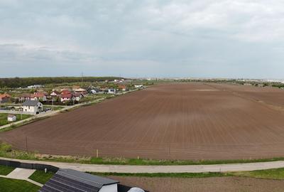 Teren Construcții intravilan de 600 mp, în Dumbrăvița - 8
