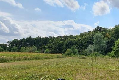 Teren de 699 mp, în Țegheș