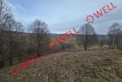 Teren extravilan de 5800 mp, în Sărămaș - 3