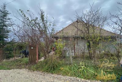 Casa P+M si teren de 1200 mp de vanzare in Uileacu de Munte - Bihor - 2