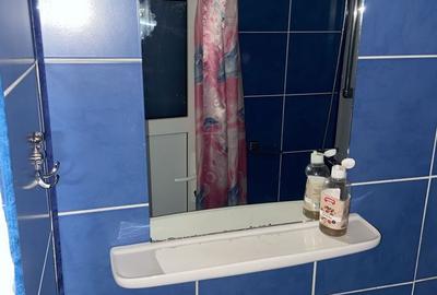 Garsonieră decomandată în Dosu Bricii