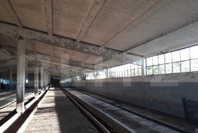 Teren de 950000 mp, în Central - 8