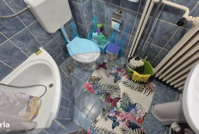 Apartament cu 2 camere, mobilat în Ferentari - 8