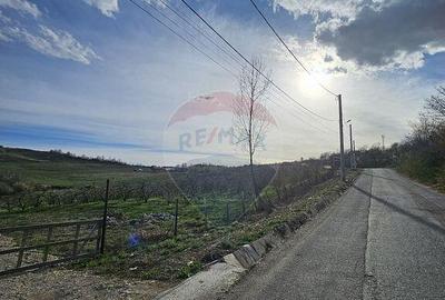 15 parcele de 1000 mp de vanzare in Breaza Prahova- toate... - 2