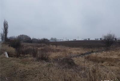 Teren de 7514 mp, în Potigrafu - 1