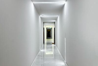 Apartament cu 3 camere decomandat, mobilat în Iancu Nicolae - 19