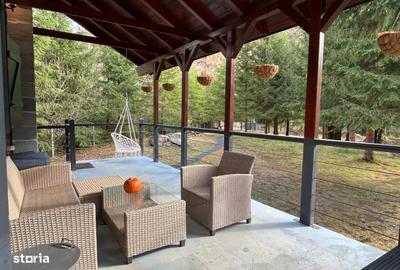 Casă cu 3 camere în Ciucea - 17