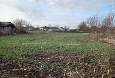 Casă în Central - 3