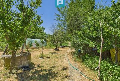 Casă cu 2 corpuri independente în Aradul Nou - 23