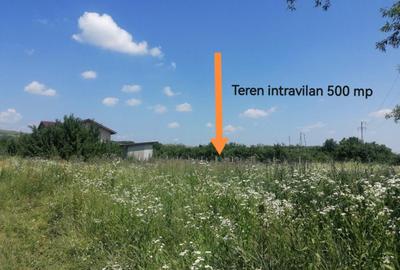 Teren intravilan, Tintea, 500 mp, neimprejmuit - 5