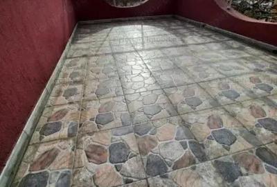 Palat P+1+M, 300mp construiti ,TOTUL NOU Chercea Mobilat tot NOU ! Palat P+1+M, 300mp construiti ,TOTUL NOU Chercea Mobilat tot NOU ! - 17