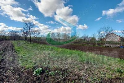 Teren de 1377 mp, în Tăuții-Măgherăuș - 1