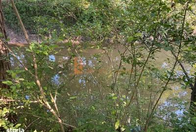 Spațiu comercial, în Tisău - 7